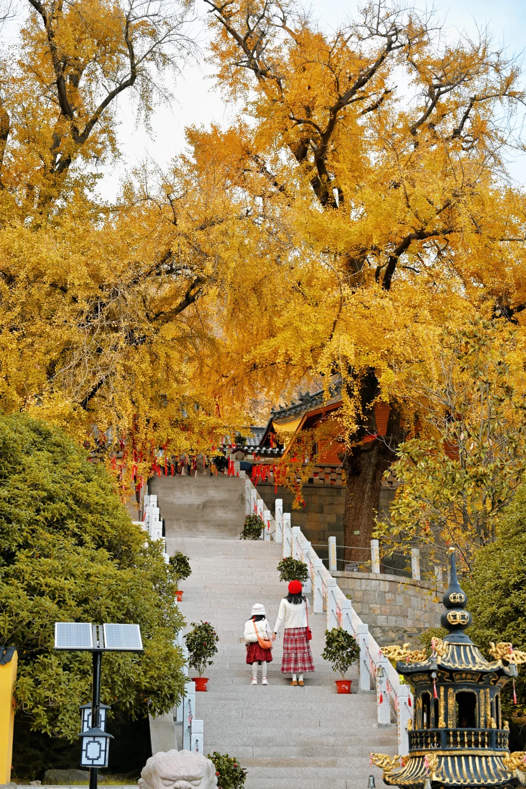 青岛6个此时此刻超美的深秋童话！
