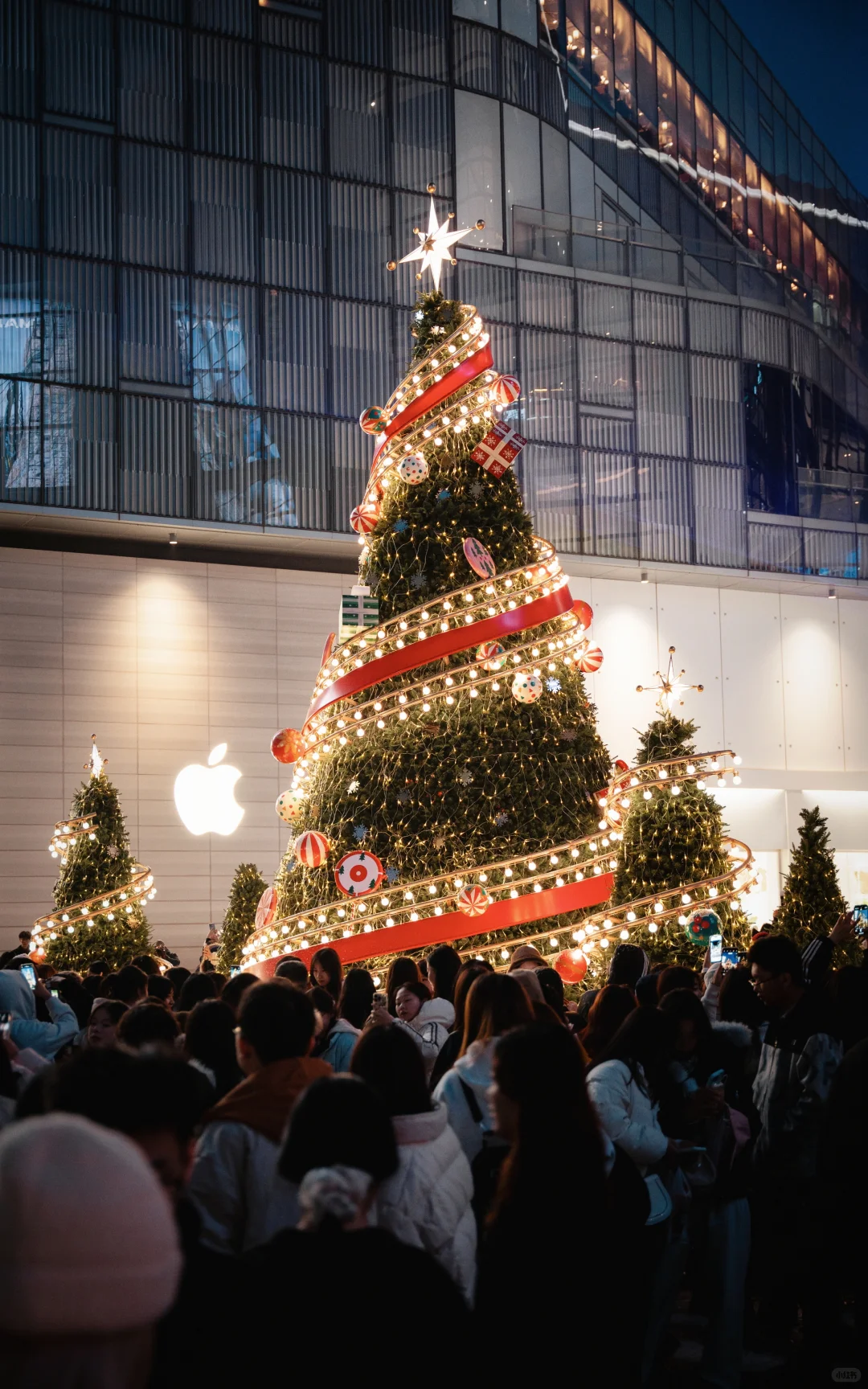 25年济南第一场雪❄️