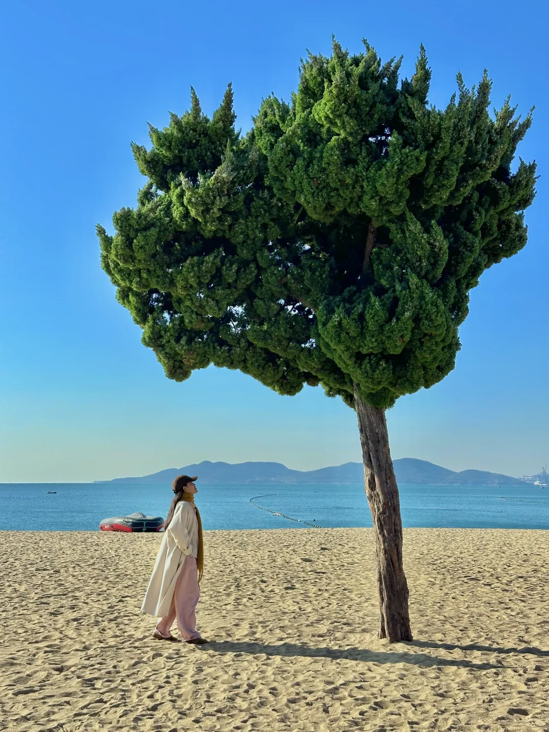 为了这18张照片，专门去了一趟青岛，附路线……