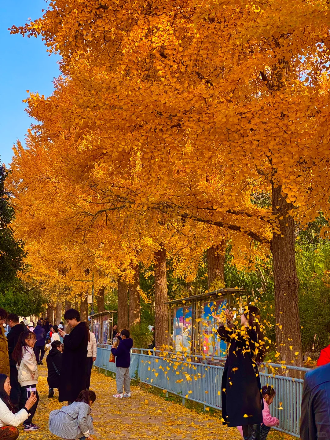 济南今天杀疯了啊！！！！！！！！！！！！！！！！