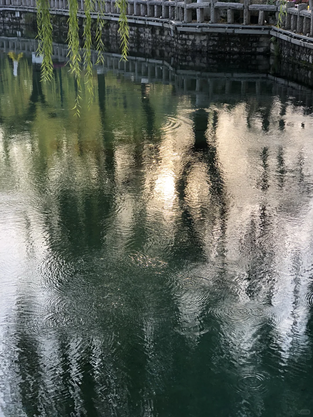 来济南啦 | 在趵突泉看小桥流水人家！