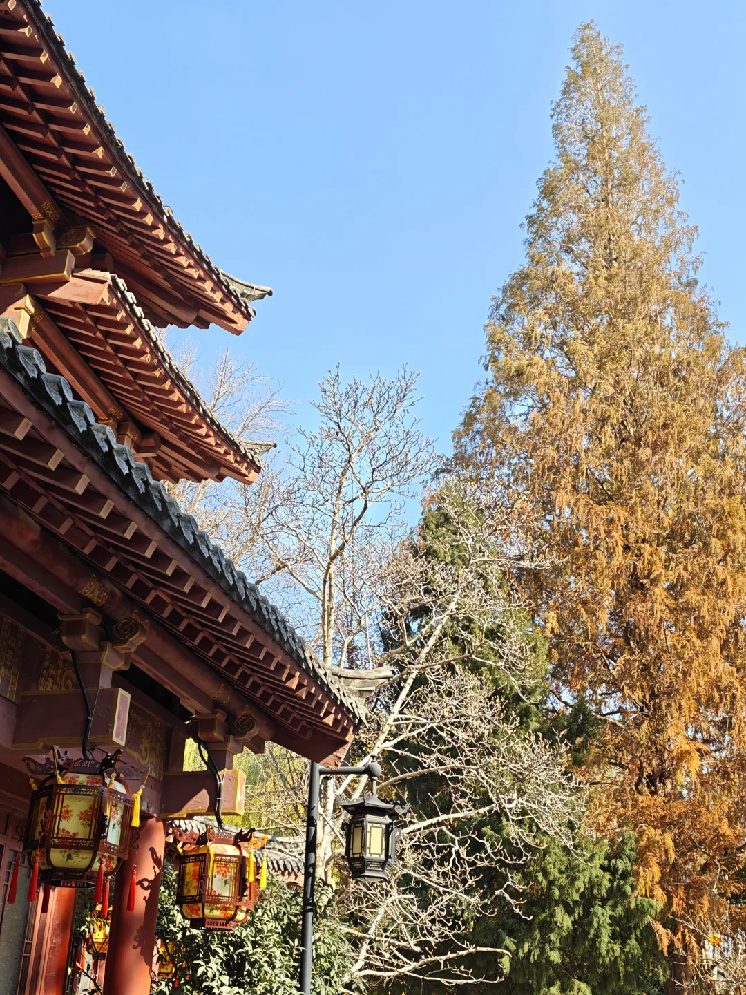 in济南|老舍笔下的城市不需要滤镜