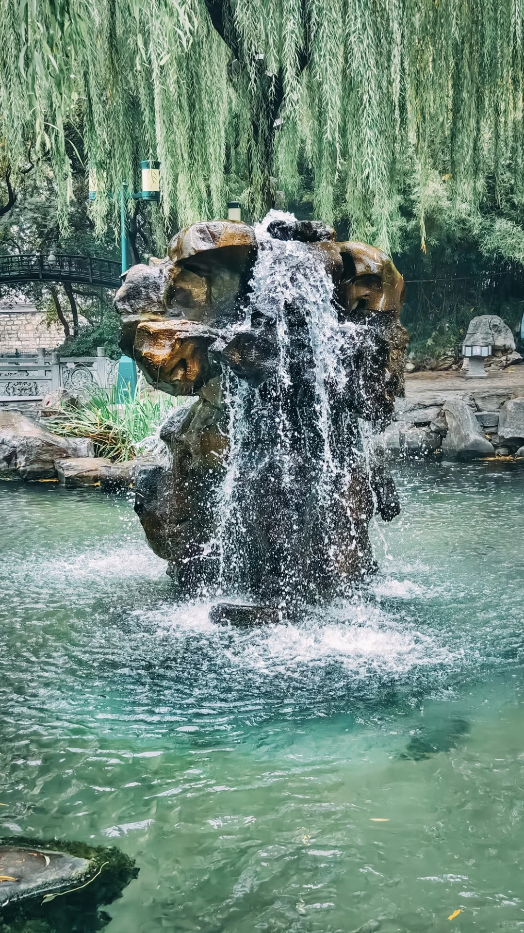 在老舍笔下的济南，拍到了秋日画卷