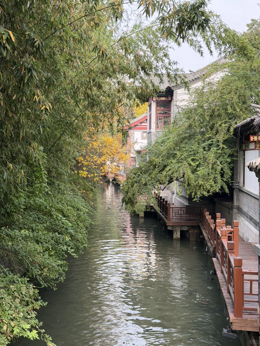 11月，趵突泉最新消息‼️要去济南的赶紧码住
