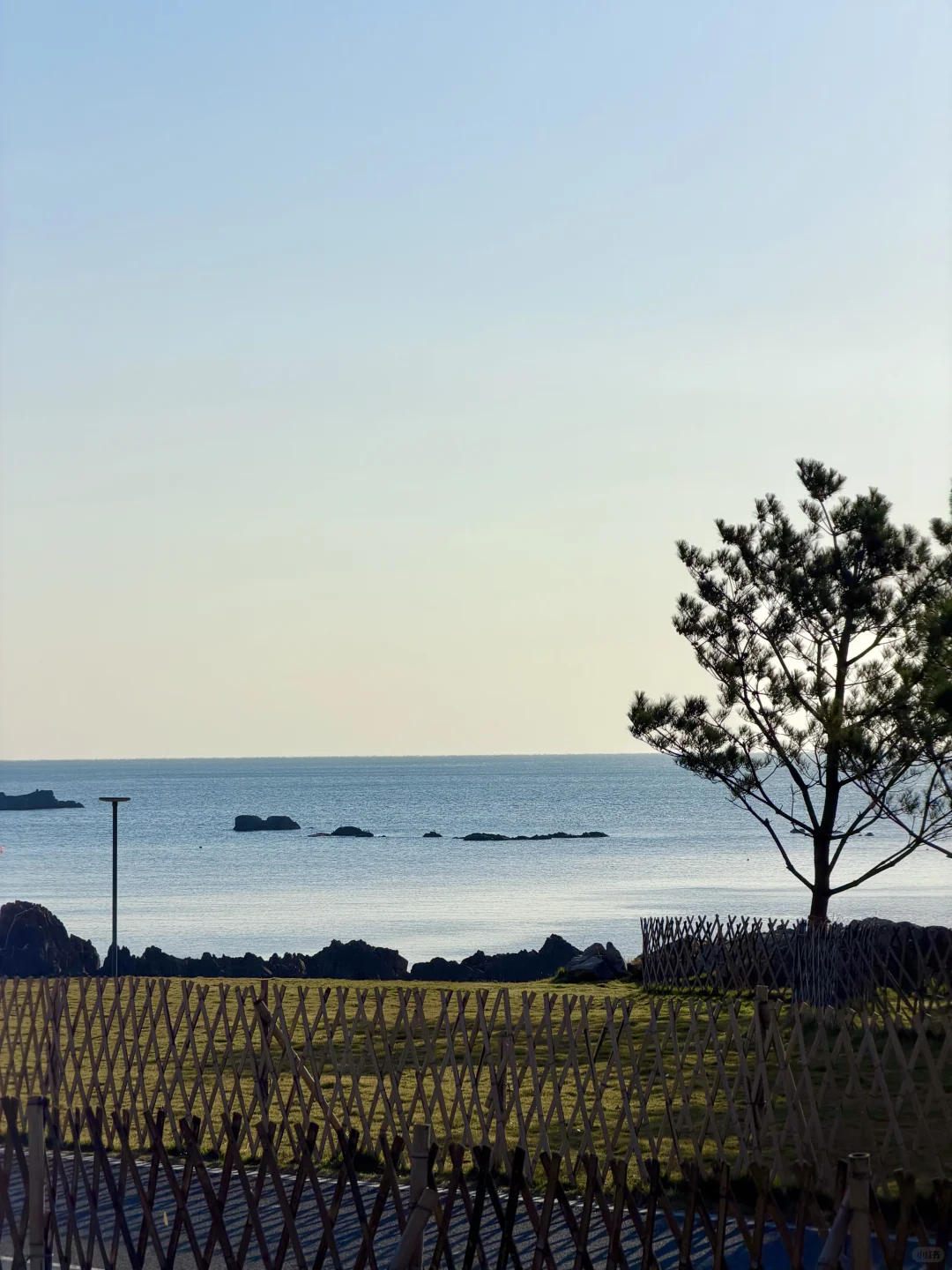 🌊我又又又喜欢上一条青岛冬天sea walk路线