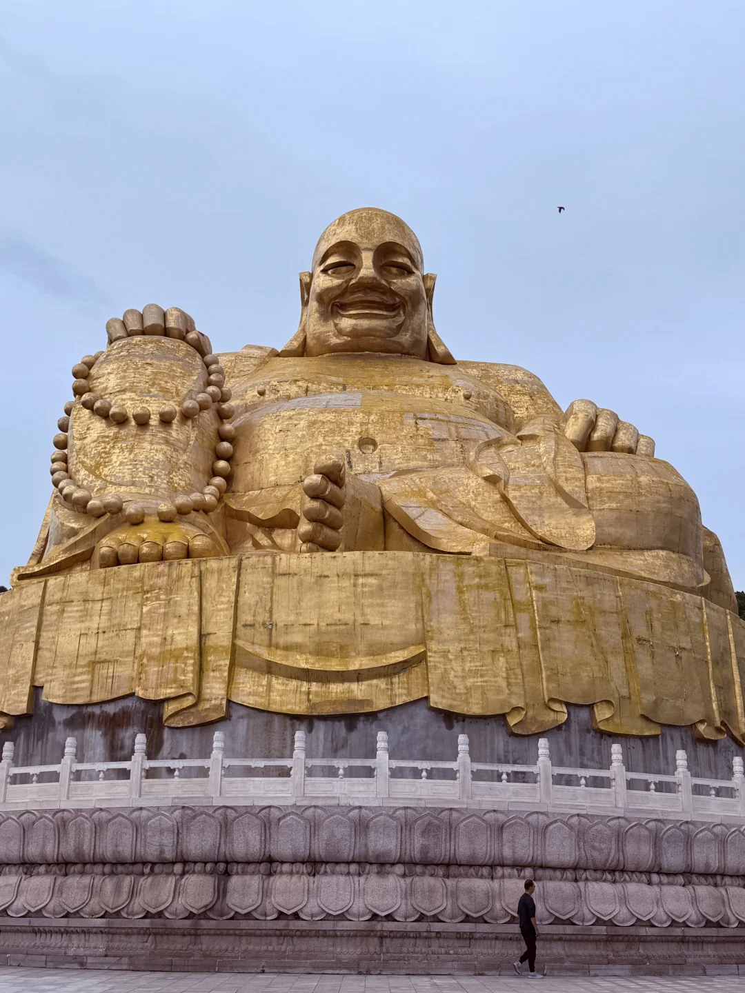 济南济南 周末小逛🪷