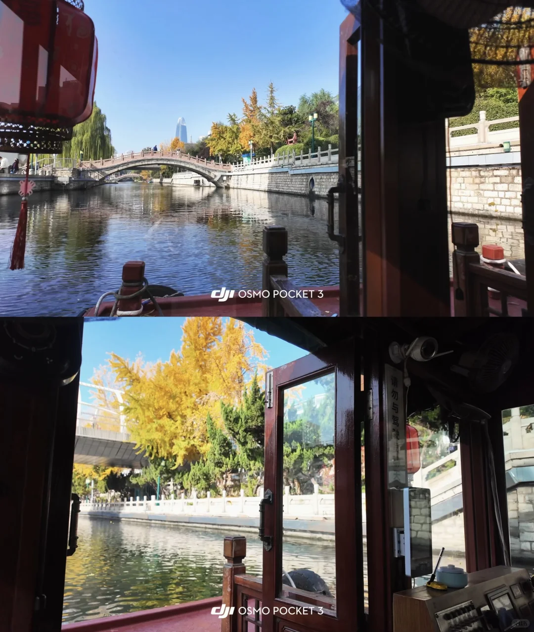 🍂请北京小孩周末都去济南赏秋！行程分享🔛