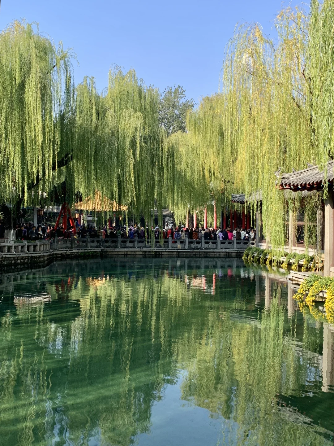 济南的冬天太美丽了