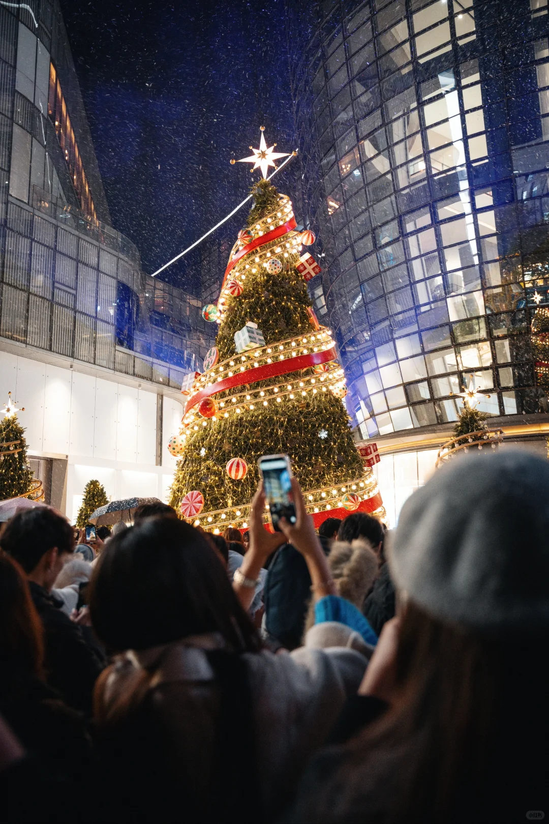 25年济南第一场雪❄️