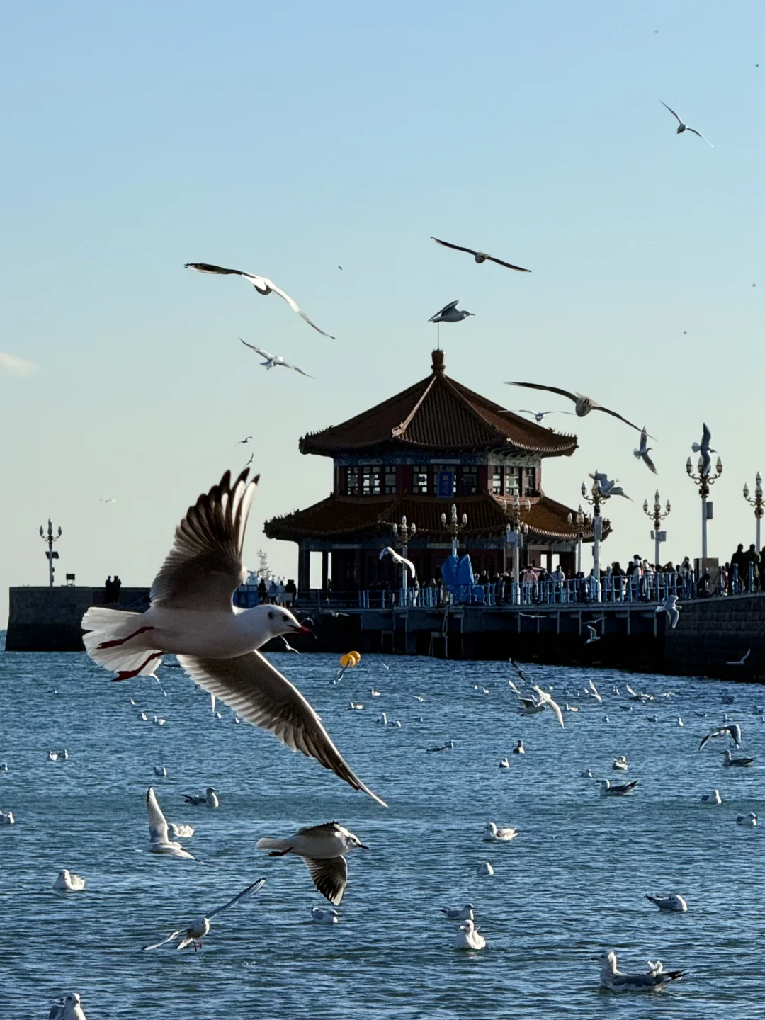 青岛刚回，此行最满意的9️⃣个地方。。。。。