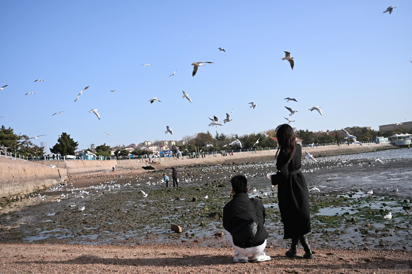 青岛中转citywalk