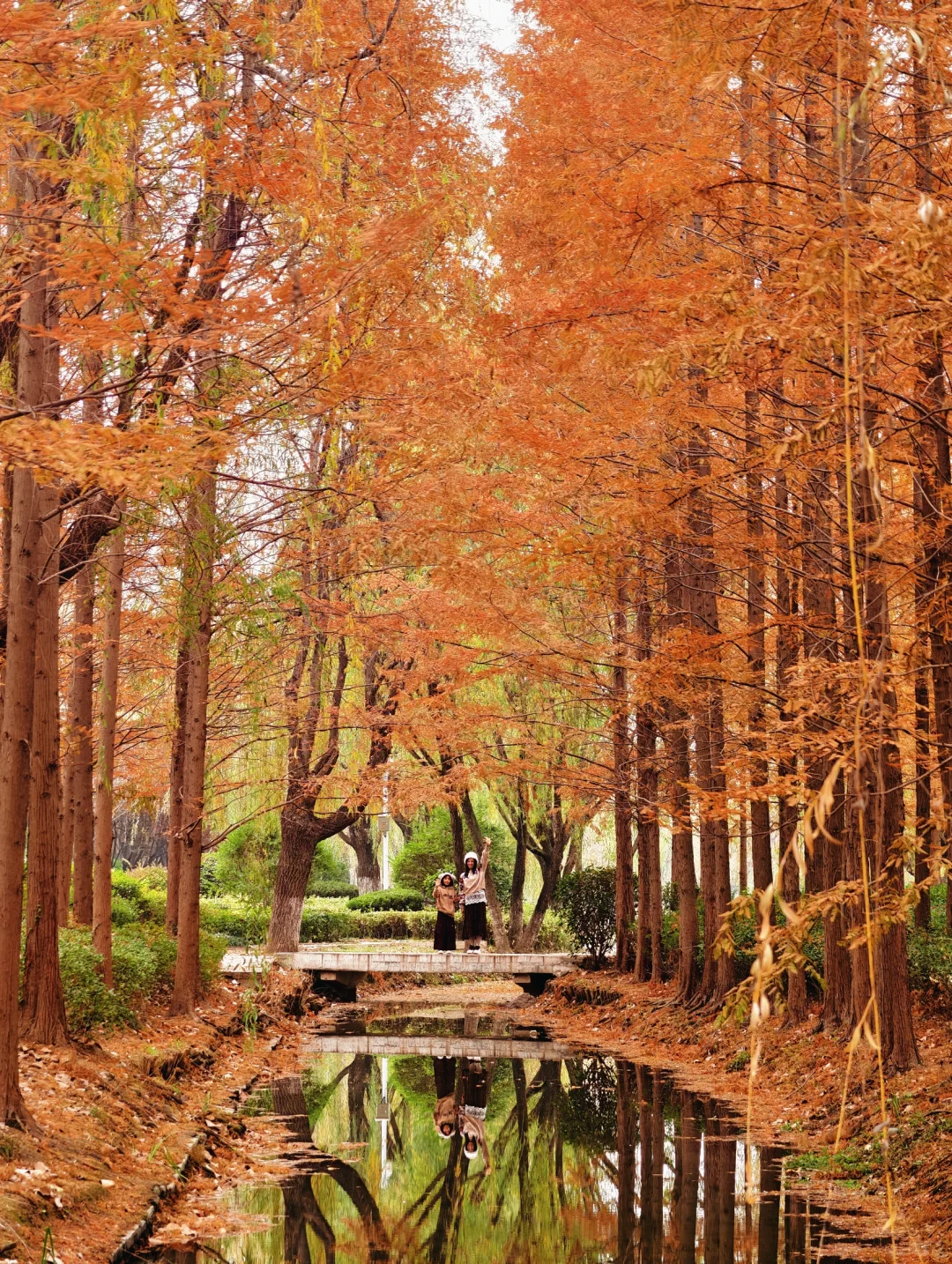 青岛6个此时此刻超美的深秋童话！