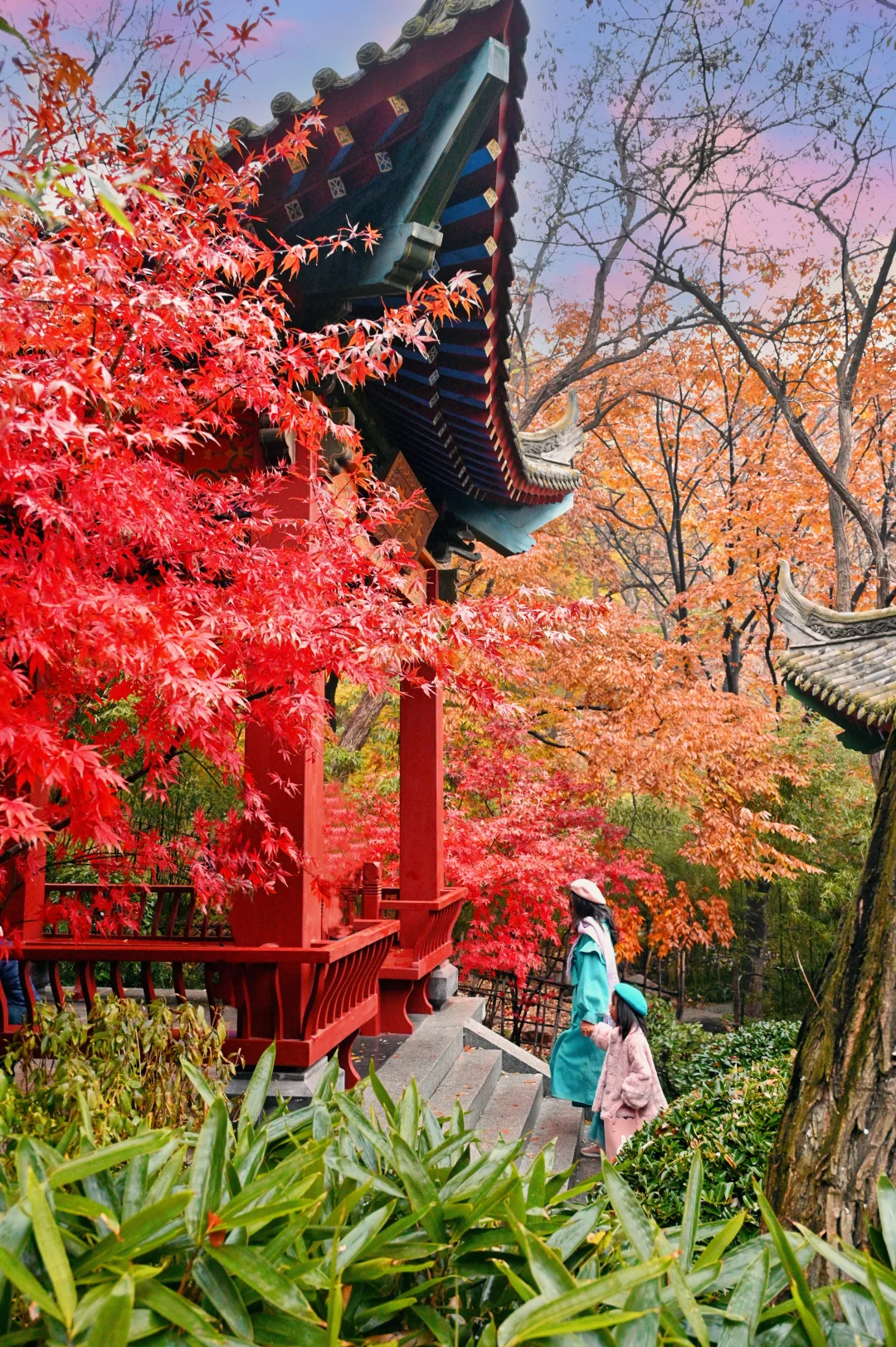 青岛6个此时此刻超美的深秋童话！