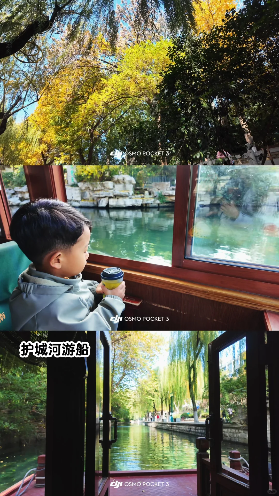 🍂请北京小孩周末都去济南赏秋！行程分享🔛