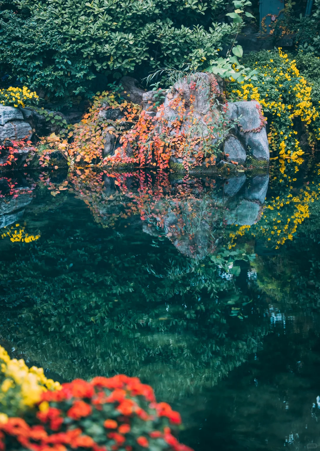 在老舍笔下的济南，拍到了秋日画卷