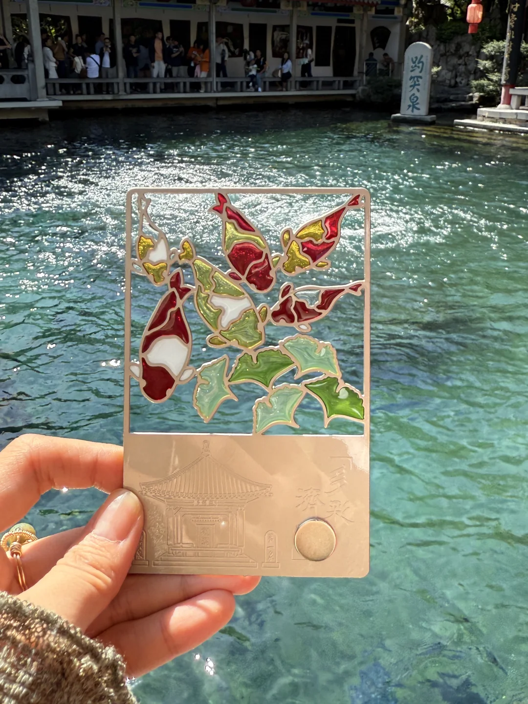 济南济南 周末小逛🪷