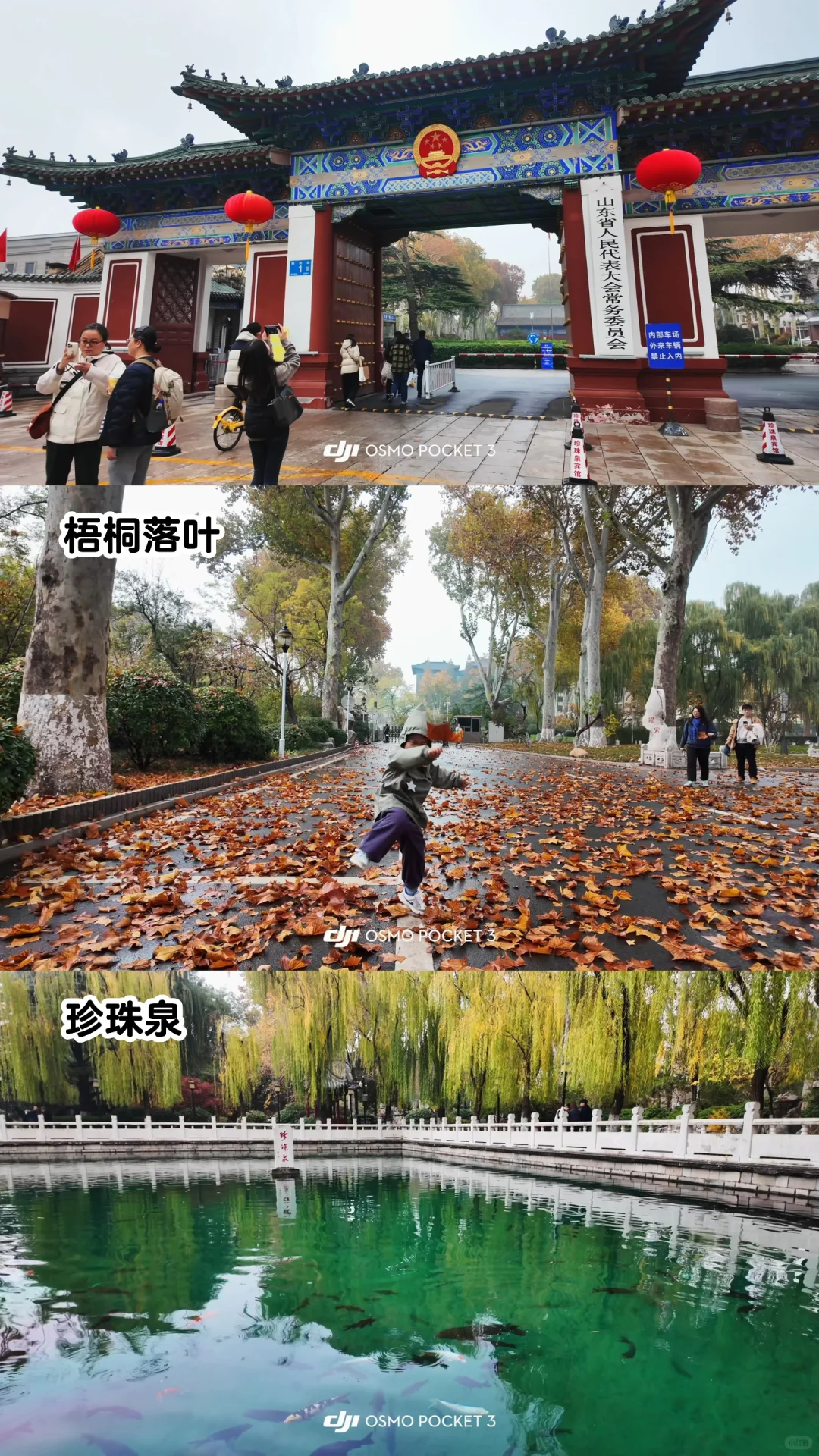 🍂请北京小孩周末都去济南赏秋！行程分享🔛