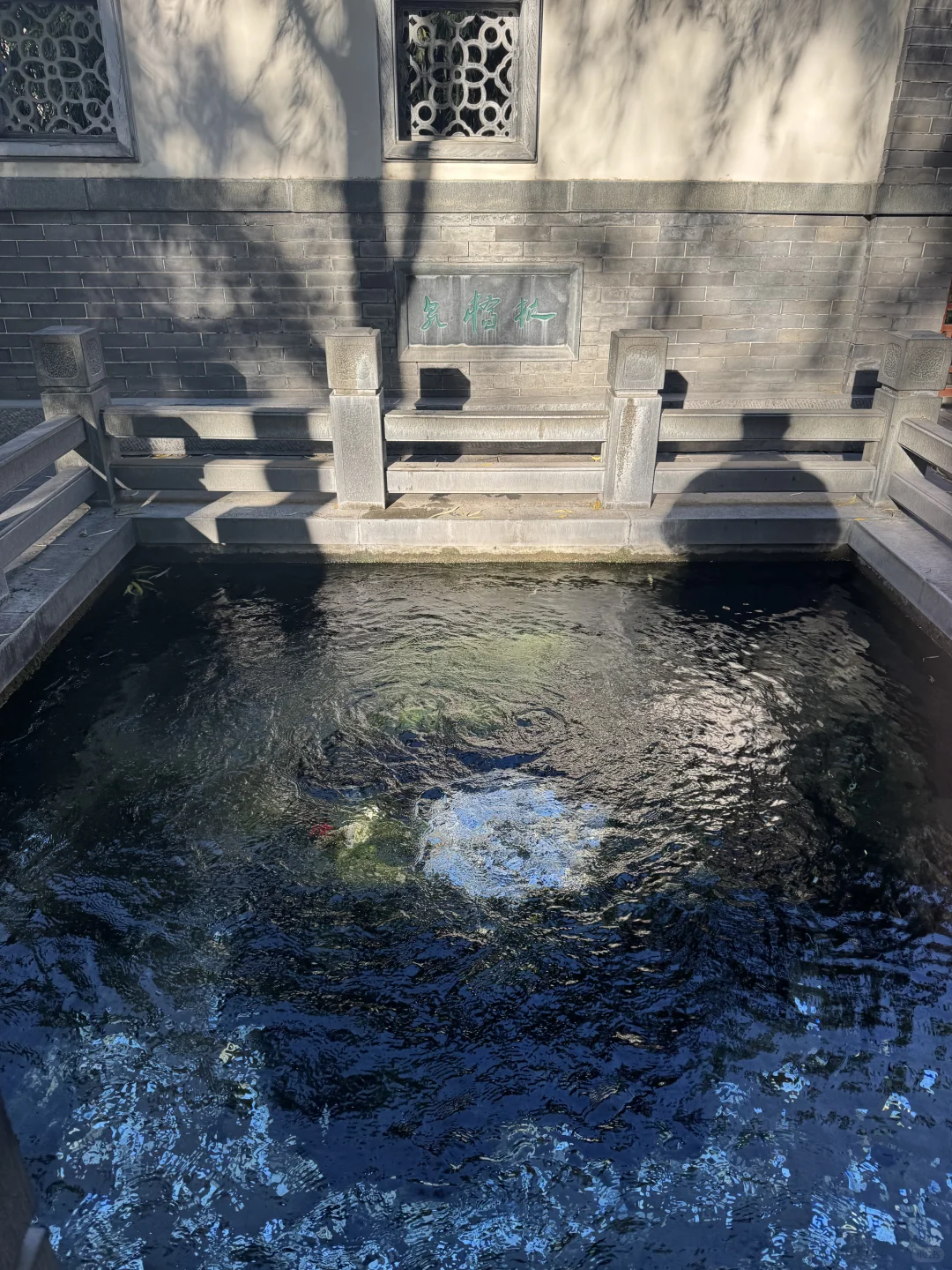 济南Day1，11.27趵突泉