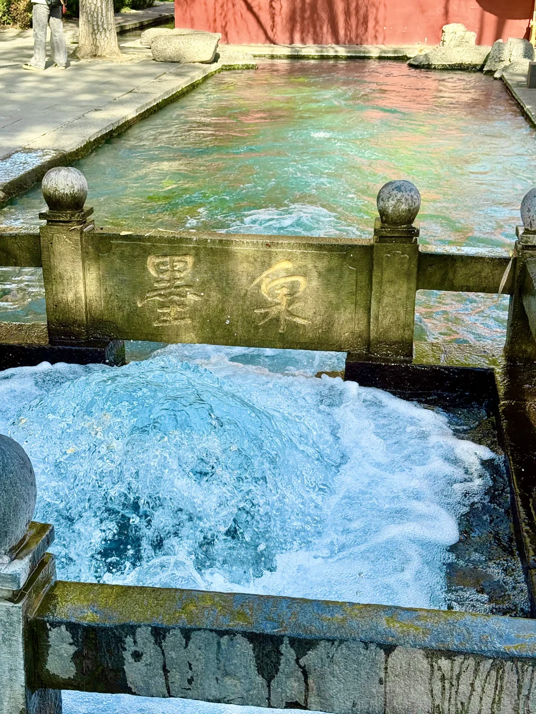 济南泉水今年的喷涌程度是本地都会震惊😱