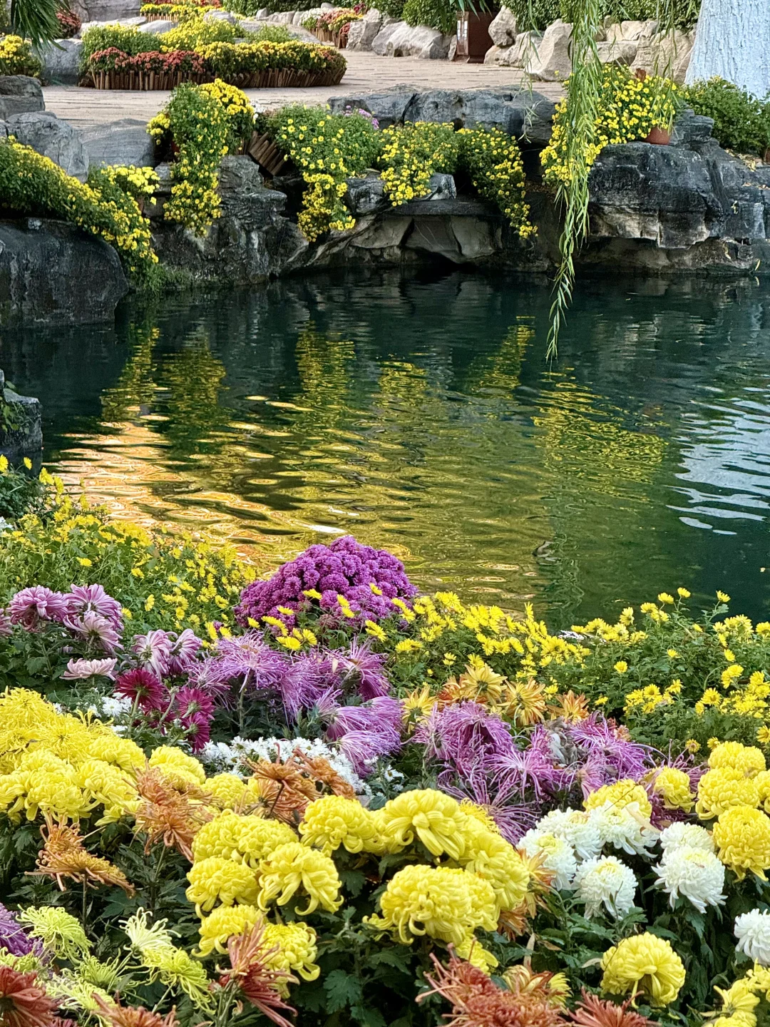 在济南🫧“清泉石上流”具像化了……