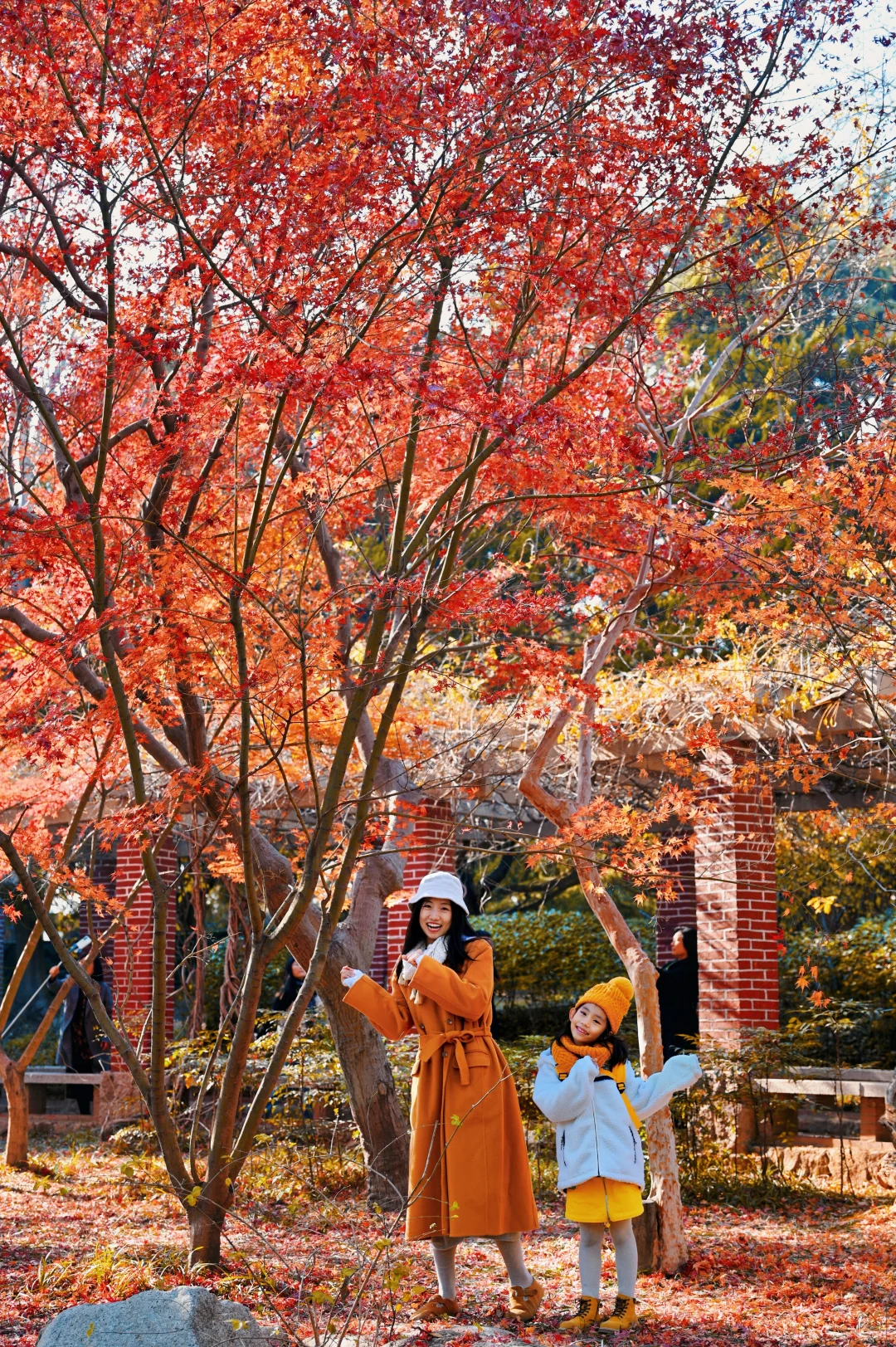 青岛6个此时此刻超美的深秋童话！