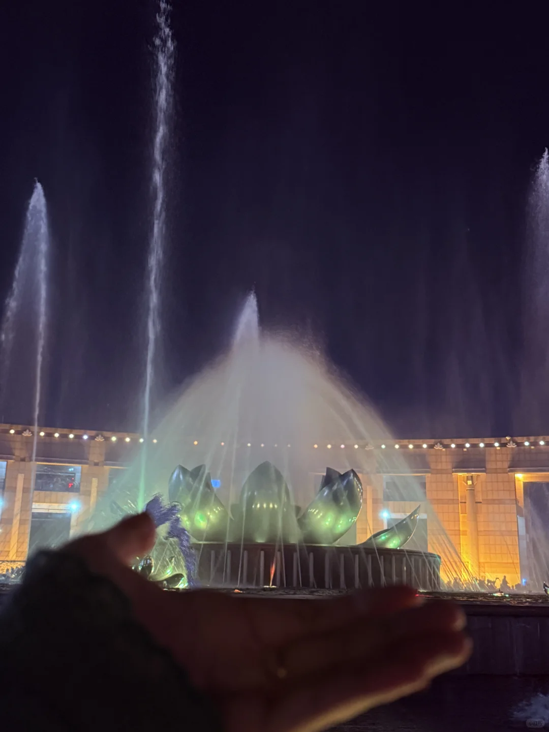 济南济南 周末小逛🪷