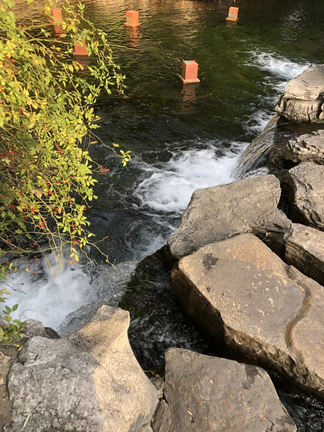 来济南啦 | 在趵突泉看小桥流水人家！