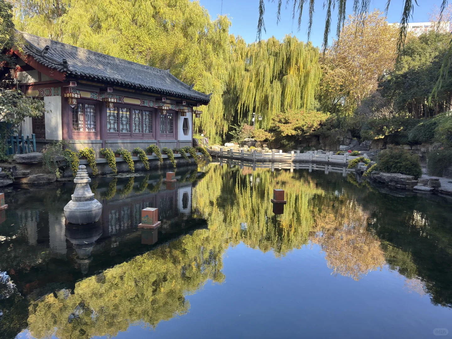 济南Day1，11.27趵突泉