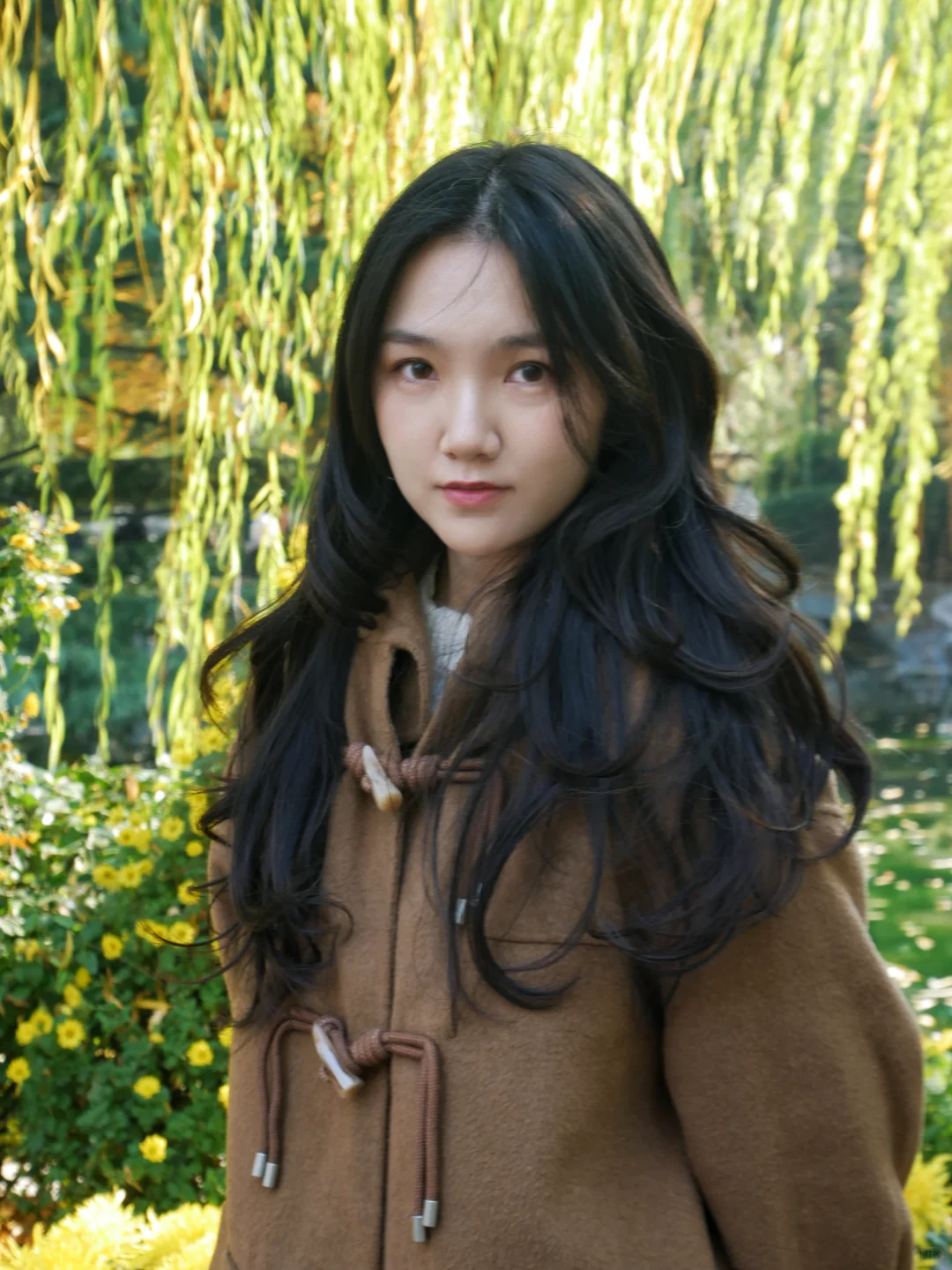 in济南|老舍笔下的城市不需要滤镜