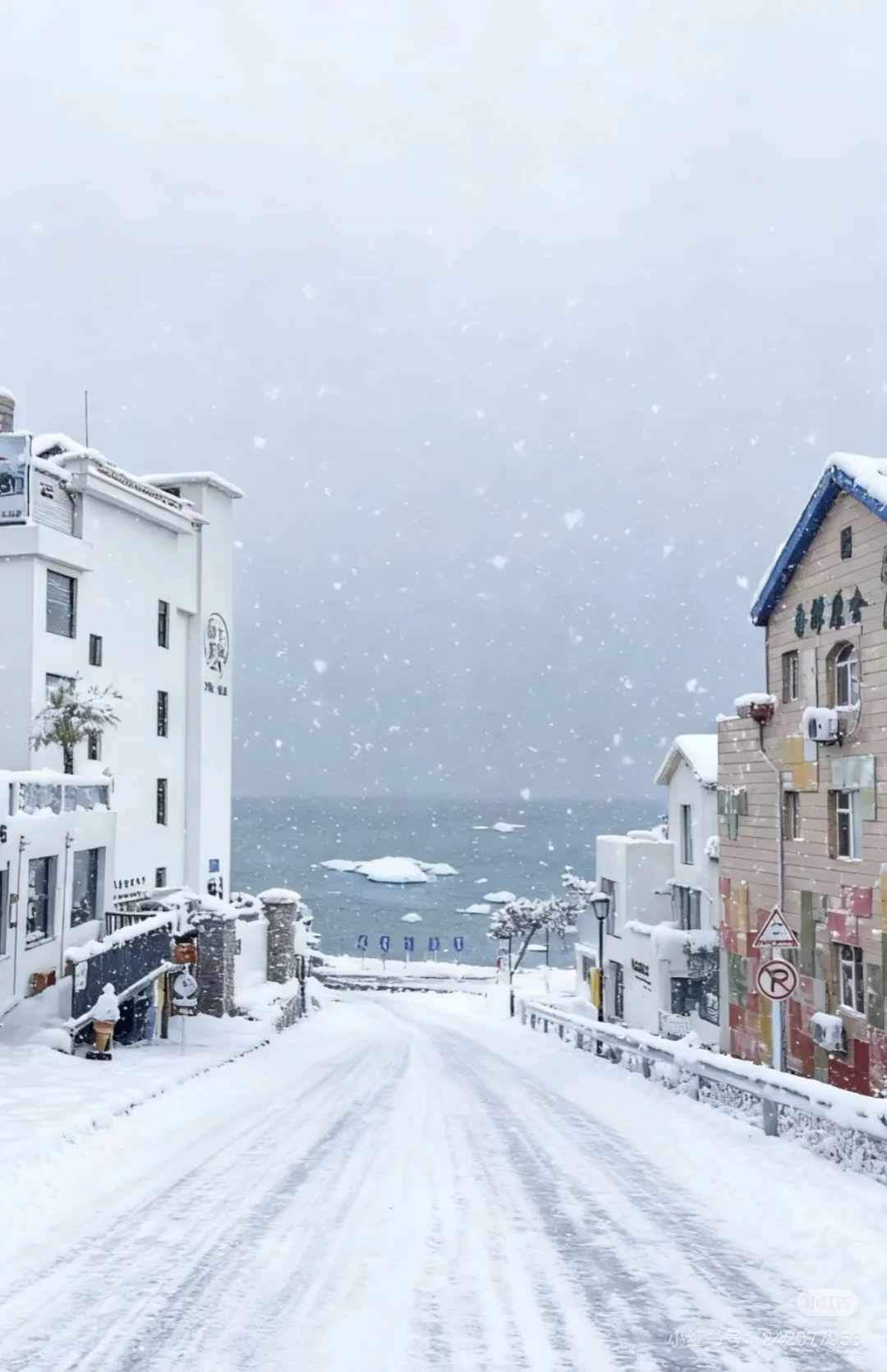 山东威海烟台求搭子！杭州出发