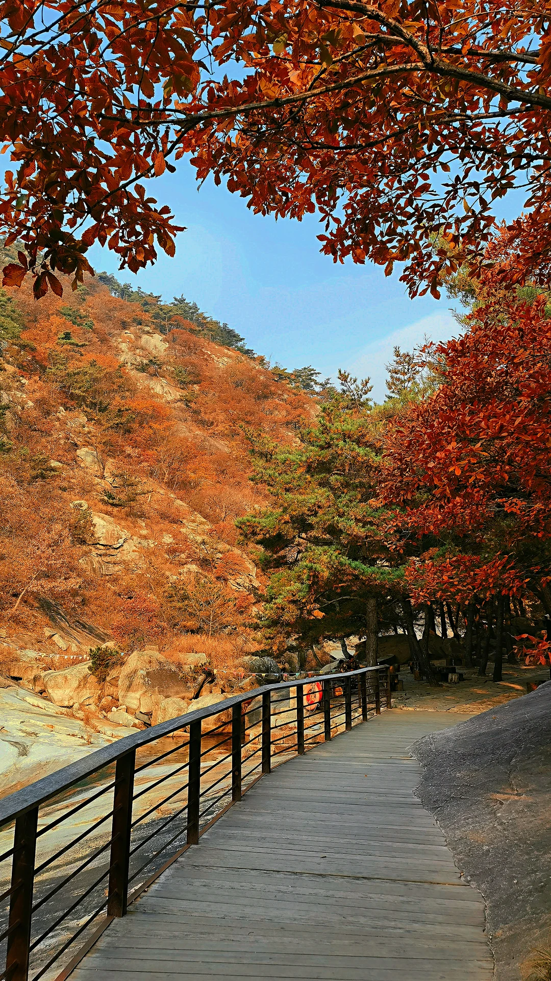 烟台的初冬🍁是大自然打翻的调色盘