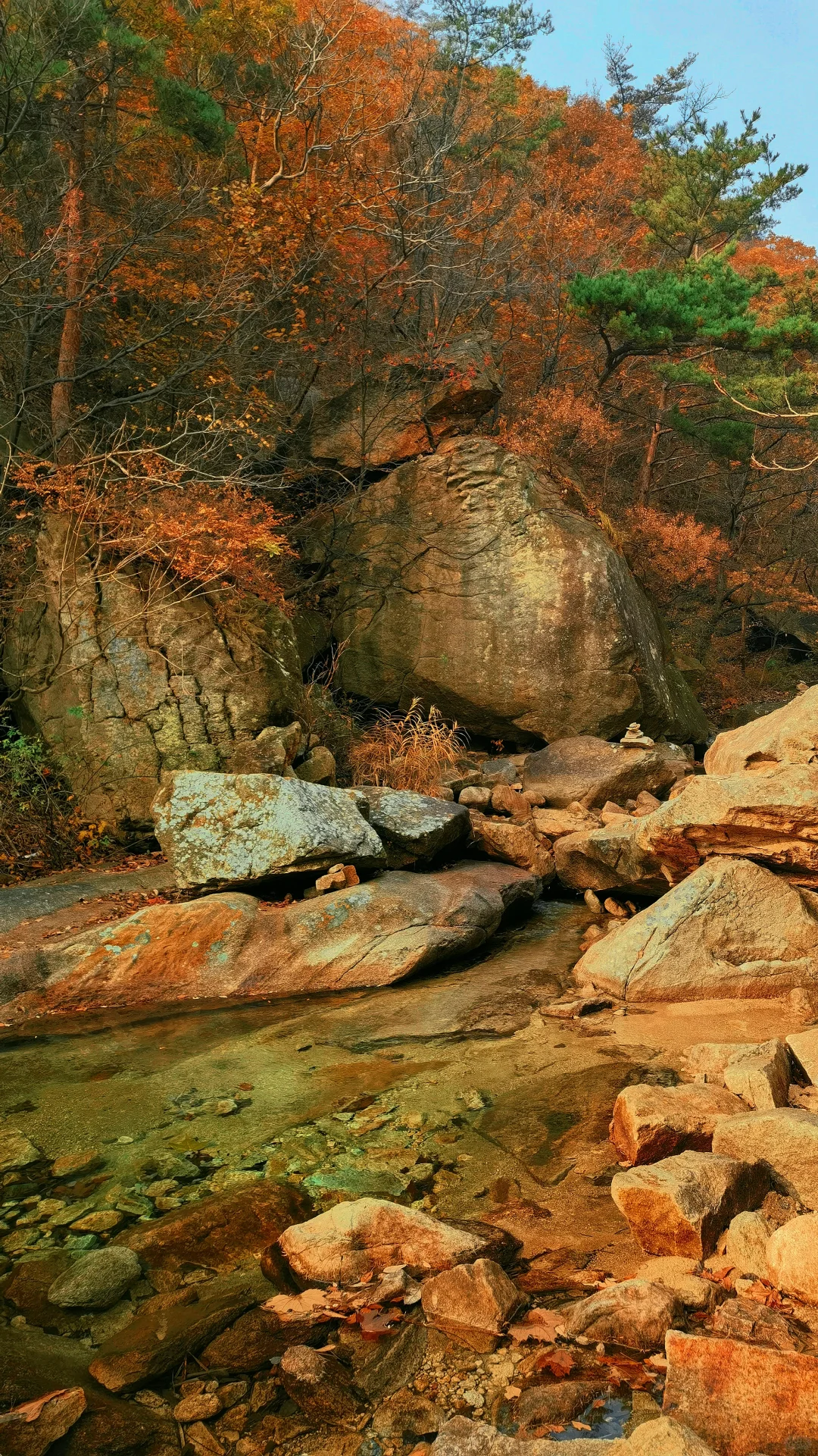 烟台的初冬🍁是大自然打翻的调色盘