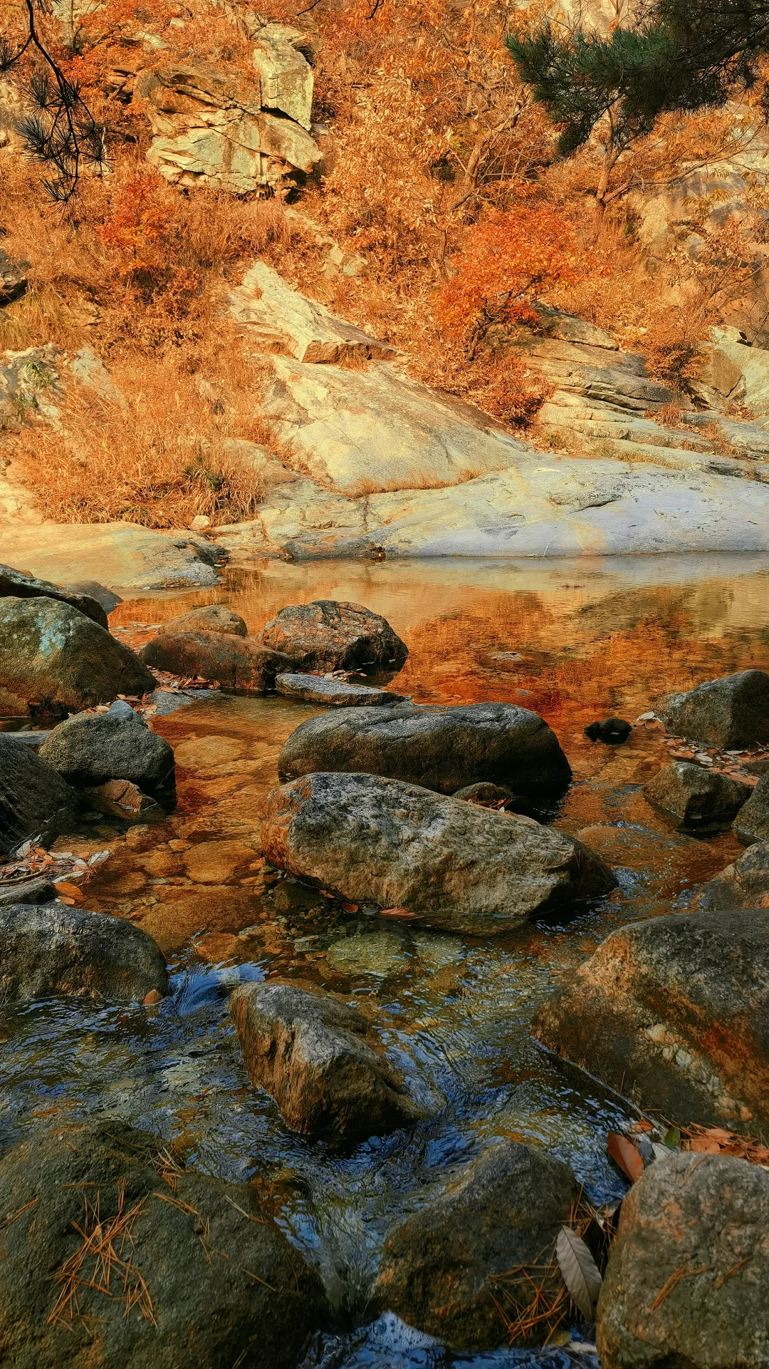 烟台的初冬🍁是大自然打翻的调色盘