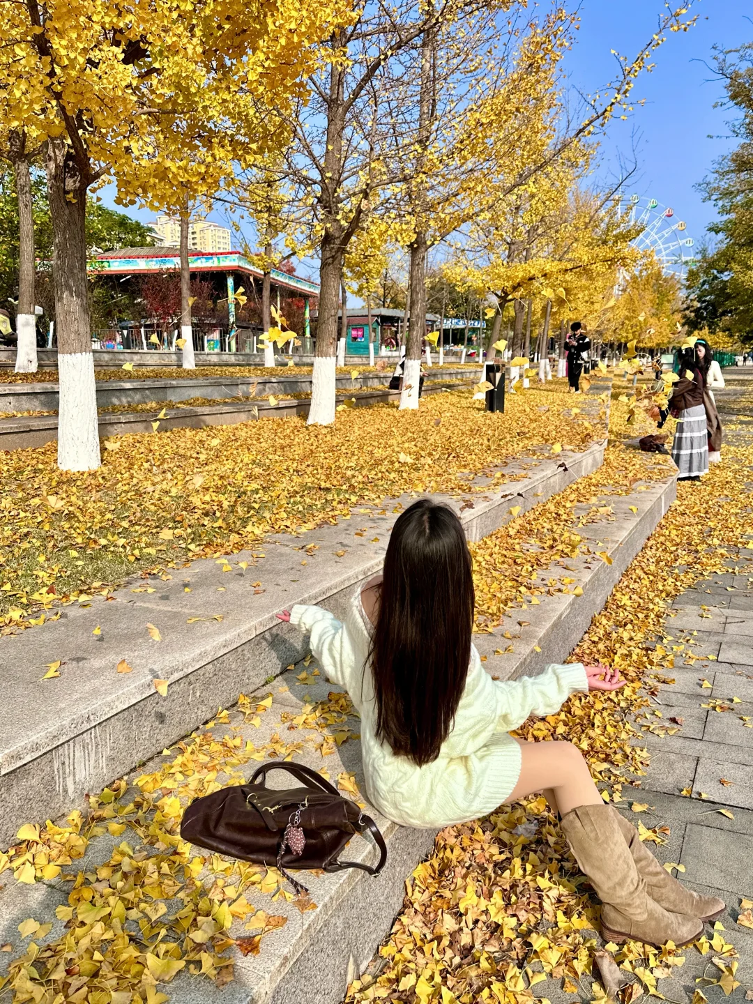 烟台 | 鱼鸟河公园🍁