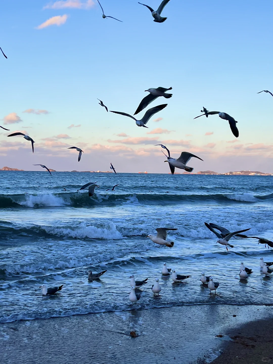 烟台11.26-12.3天气预报☀️及潮汐时间🌊