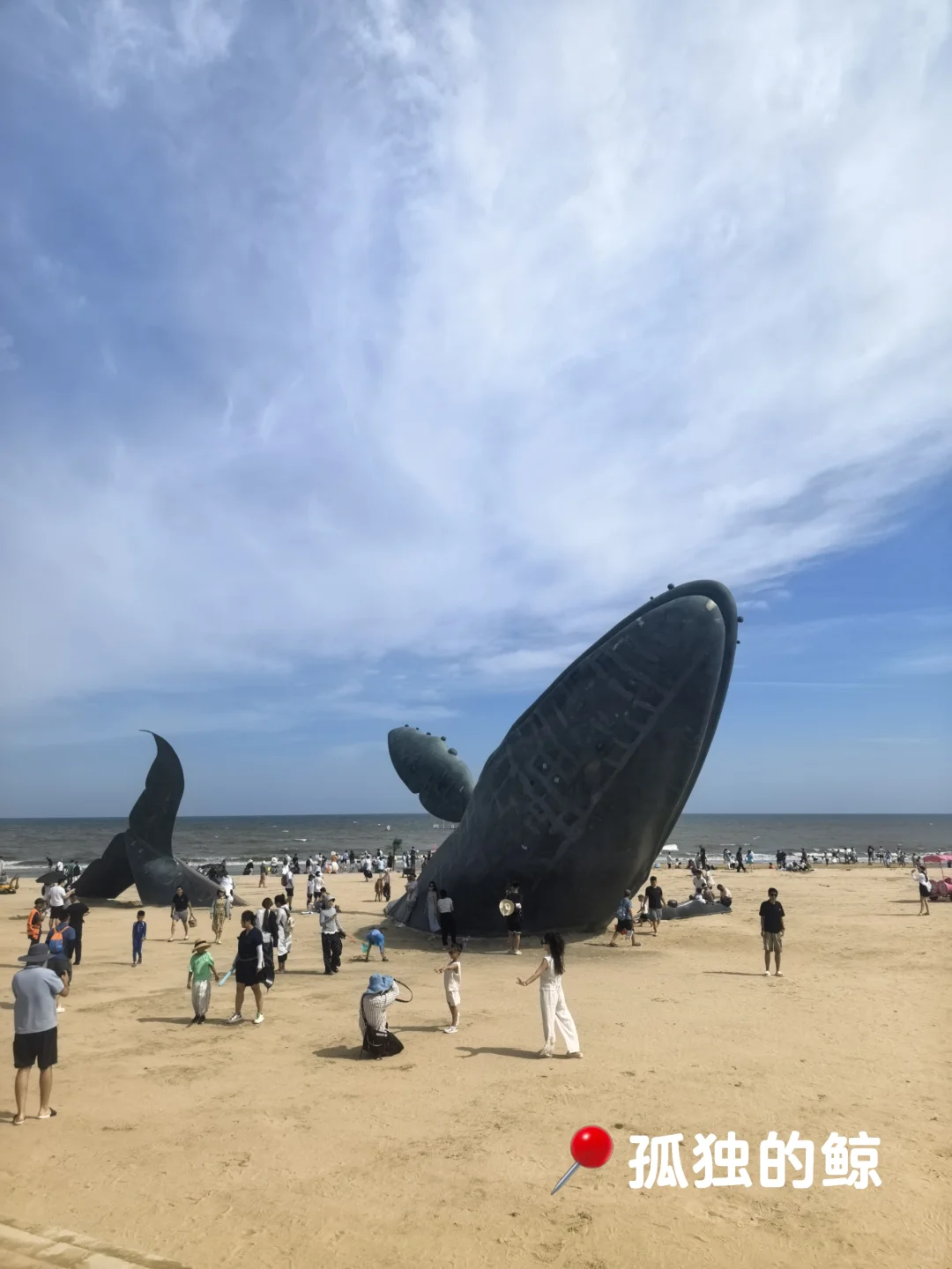 烟台真实游客反馈｜全是大实话！