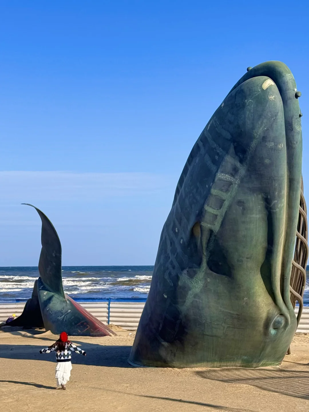 Live以为青岛大连封神了❗️直到我去了烟台🥹