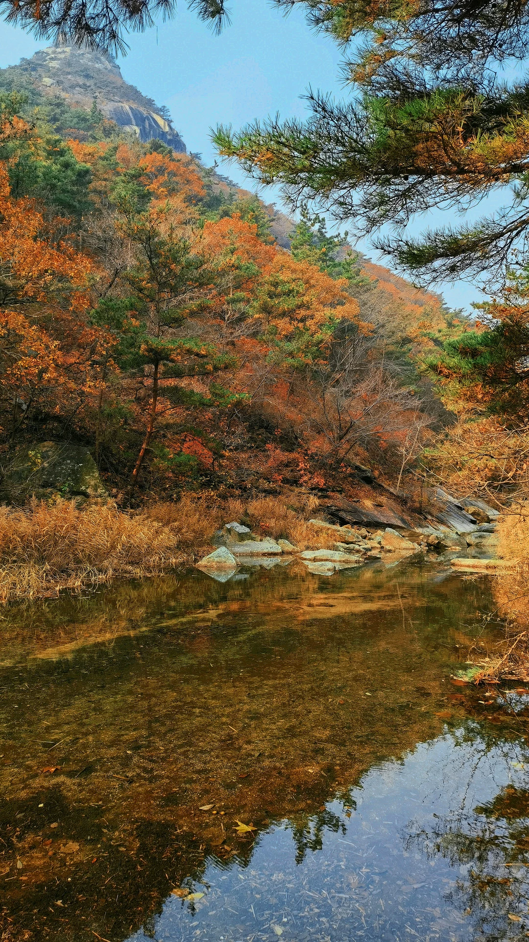 烟台的初冬🍁是大自然打翻的调色盘