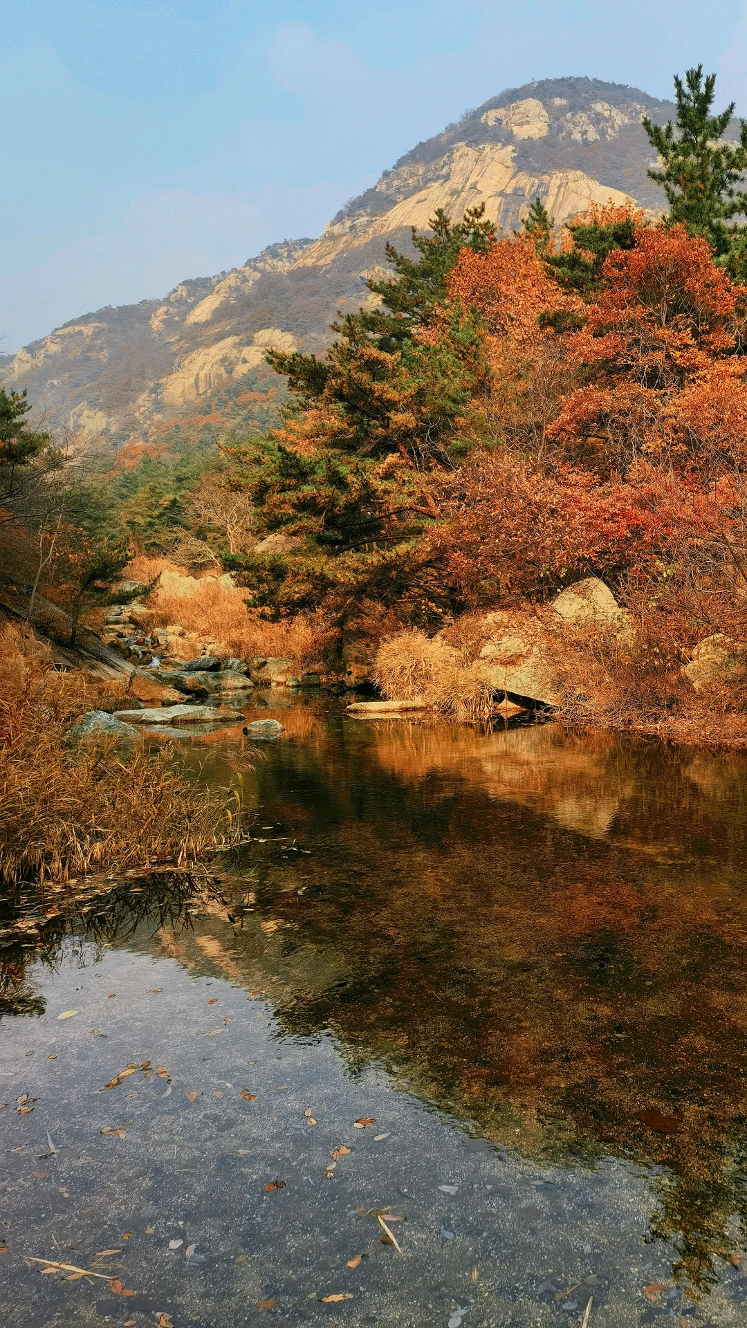 烟台的初冬🍁是大自然打翻的调色盘