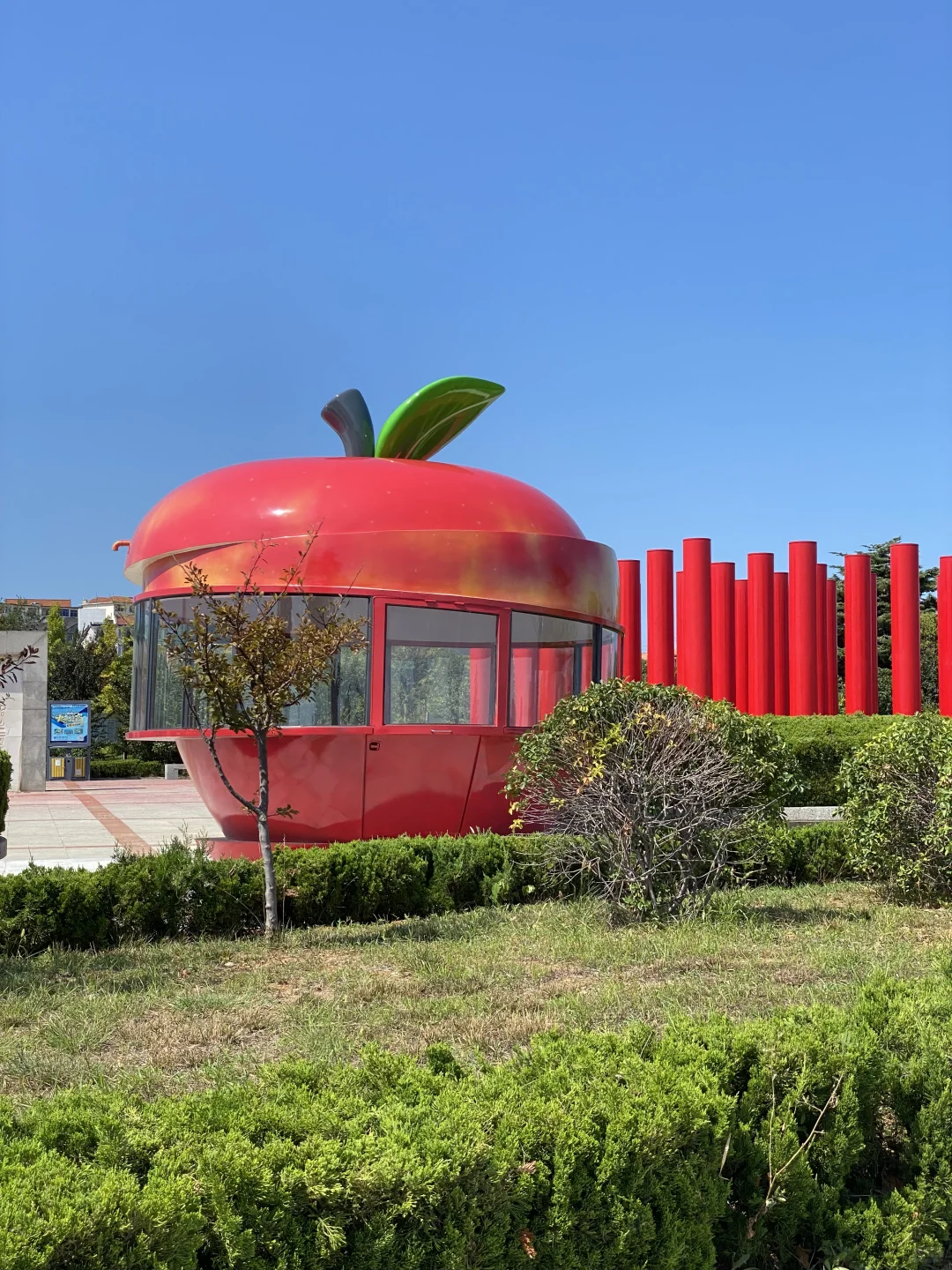 烟台11.17-11.24天气预报☀️及潮汐时间🌊