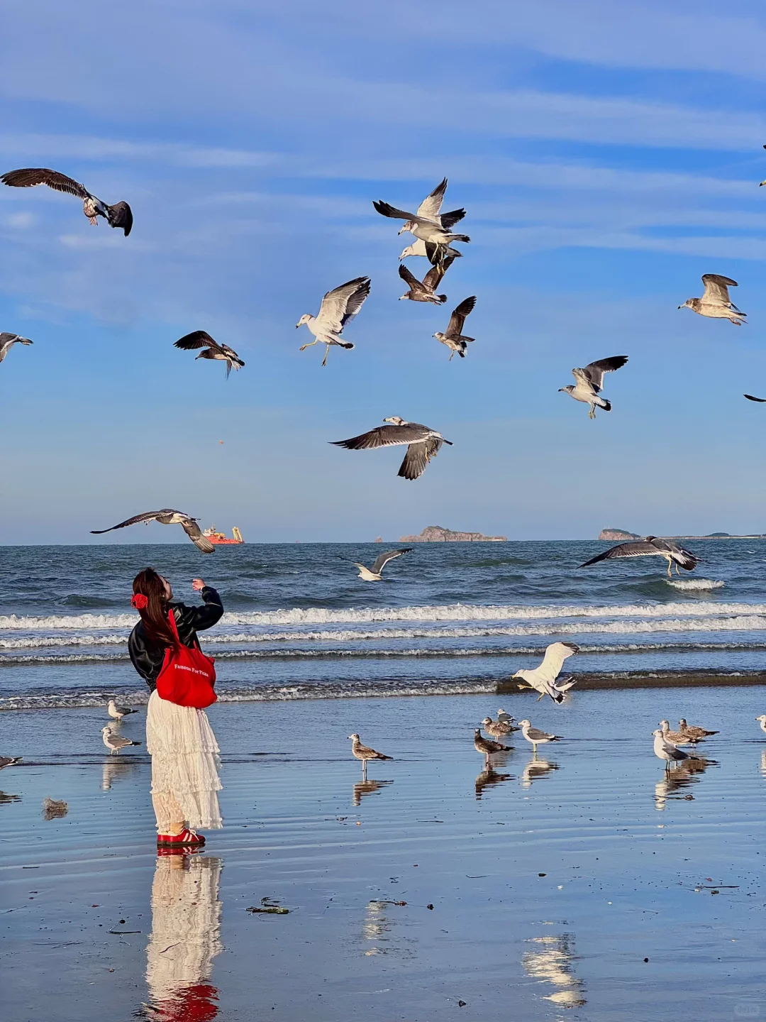 Live以为青岛大连封神了❗️直到我去了烟台🥹