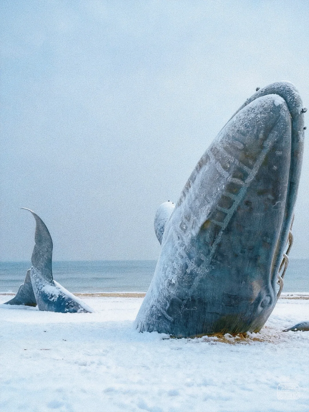 期待雪后的烟台🎞️美成了《孤单又灿烂的神》