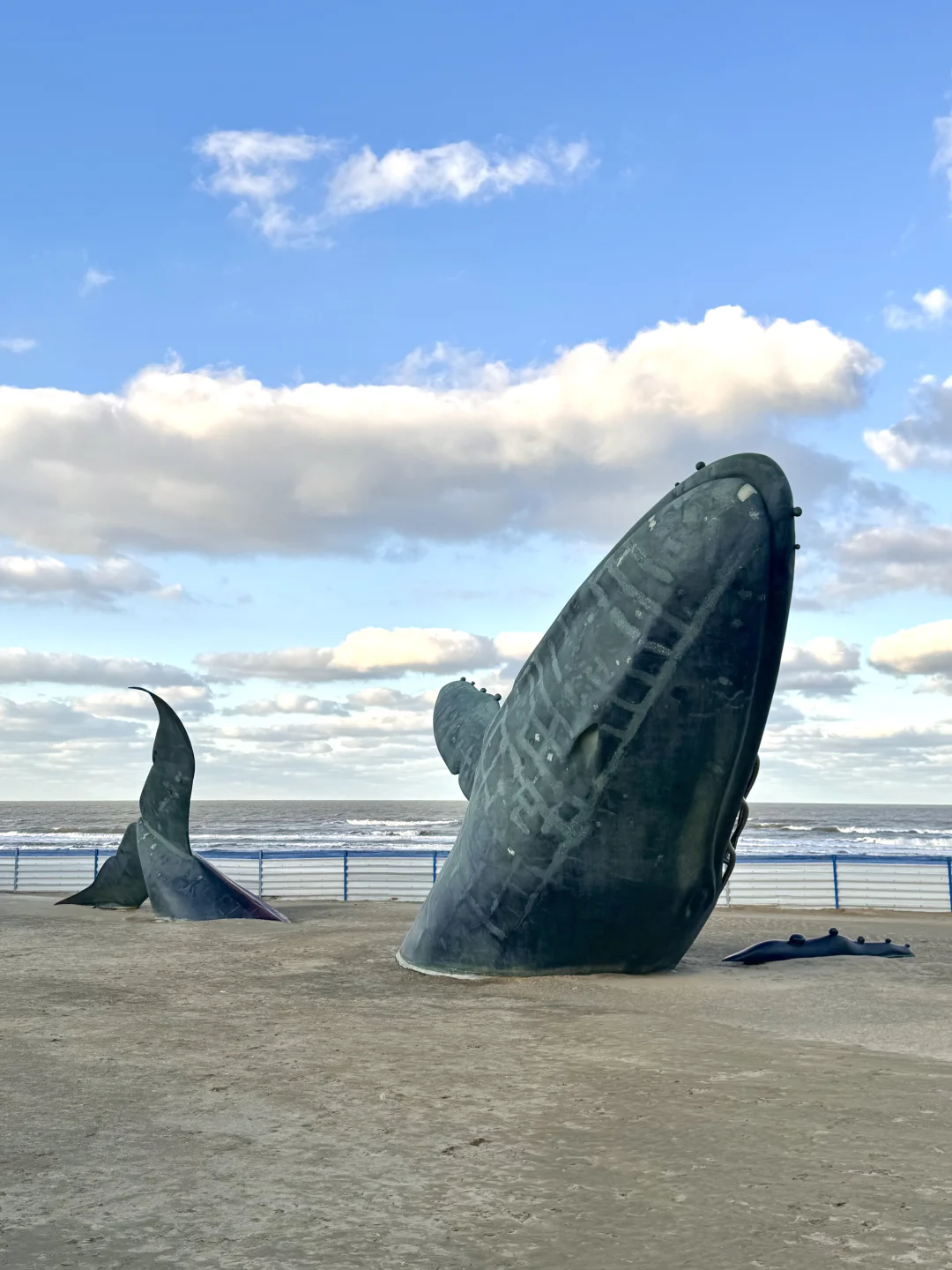 好天气的烟台美得像画🖼️