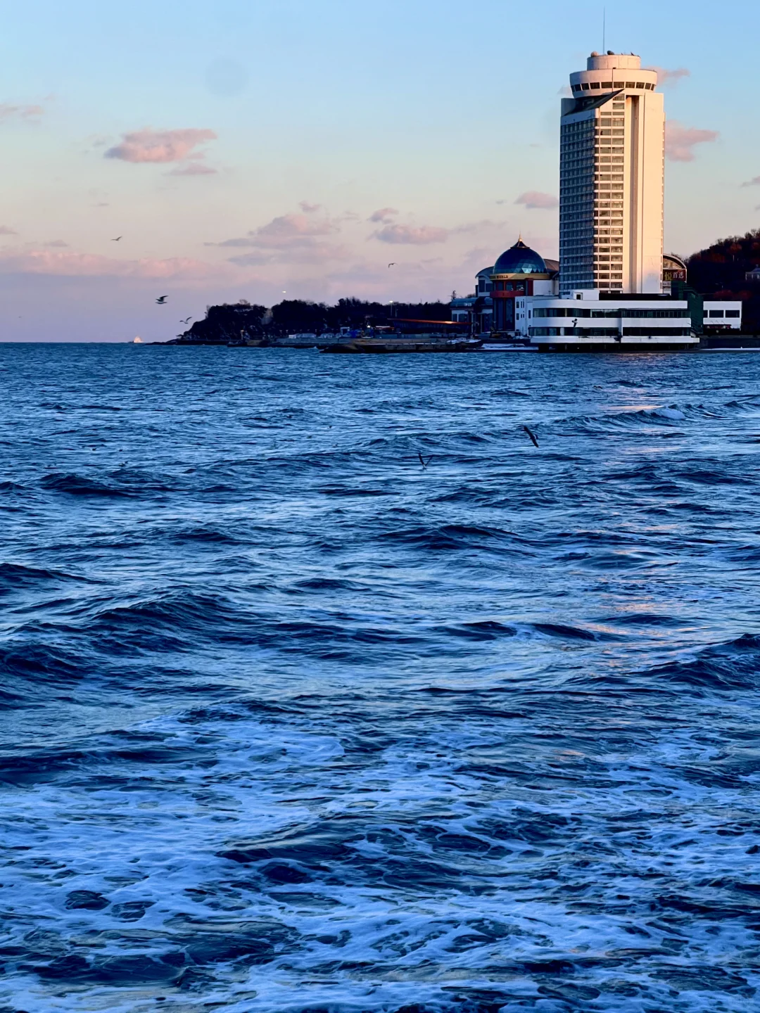 烟台11.17-11.24天气预报☀️及潮汐时间🌊