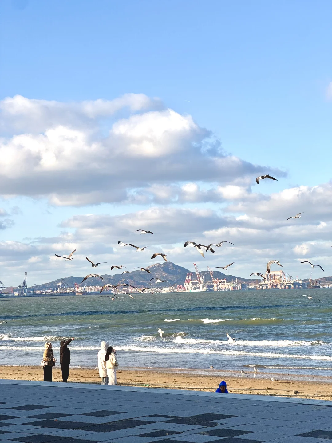 好天气的烟台美得像画🖼️