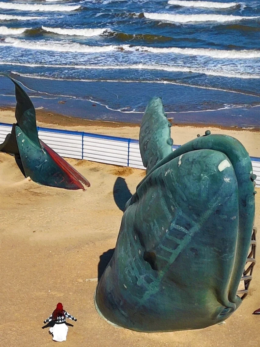 Live以为青岛大连封神了❗️直到我去了烟台🥹