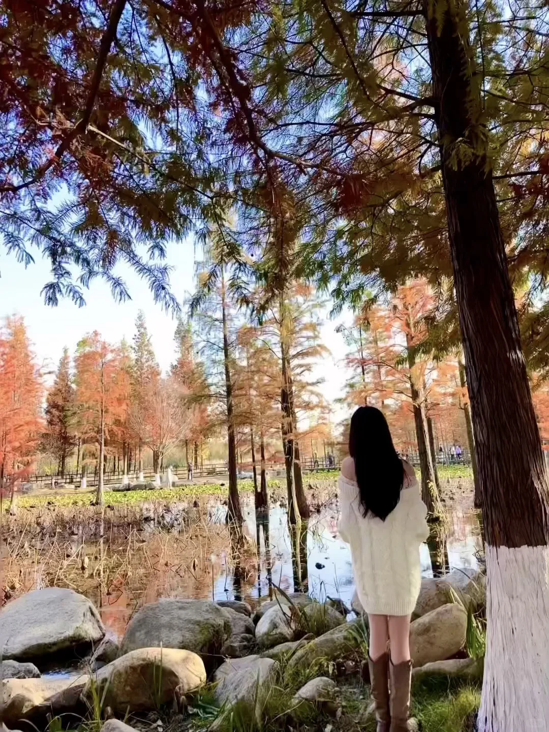 烟台 | 鱼鸟河公园🍁