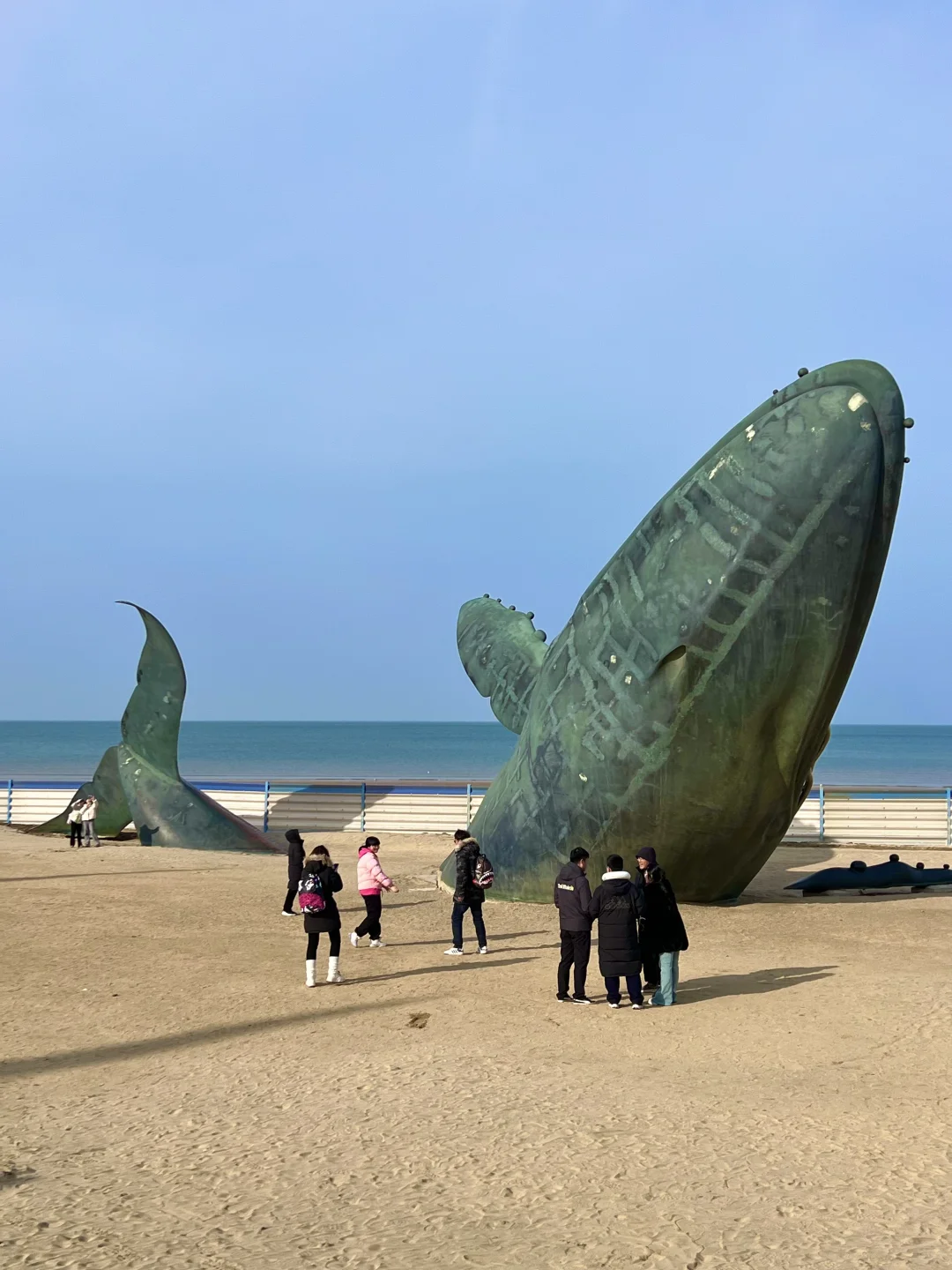 烟台11.17-11.24天气预报☀️及潮汐时间🌊