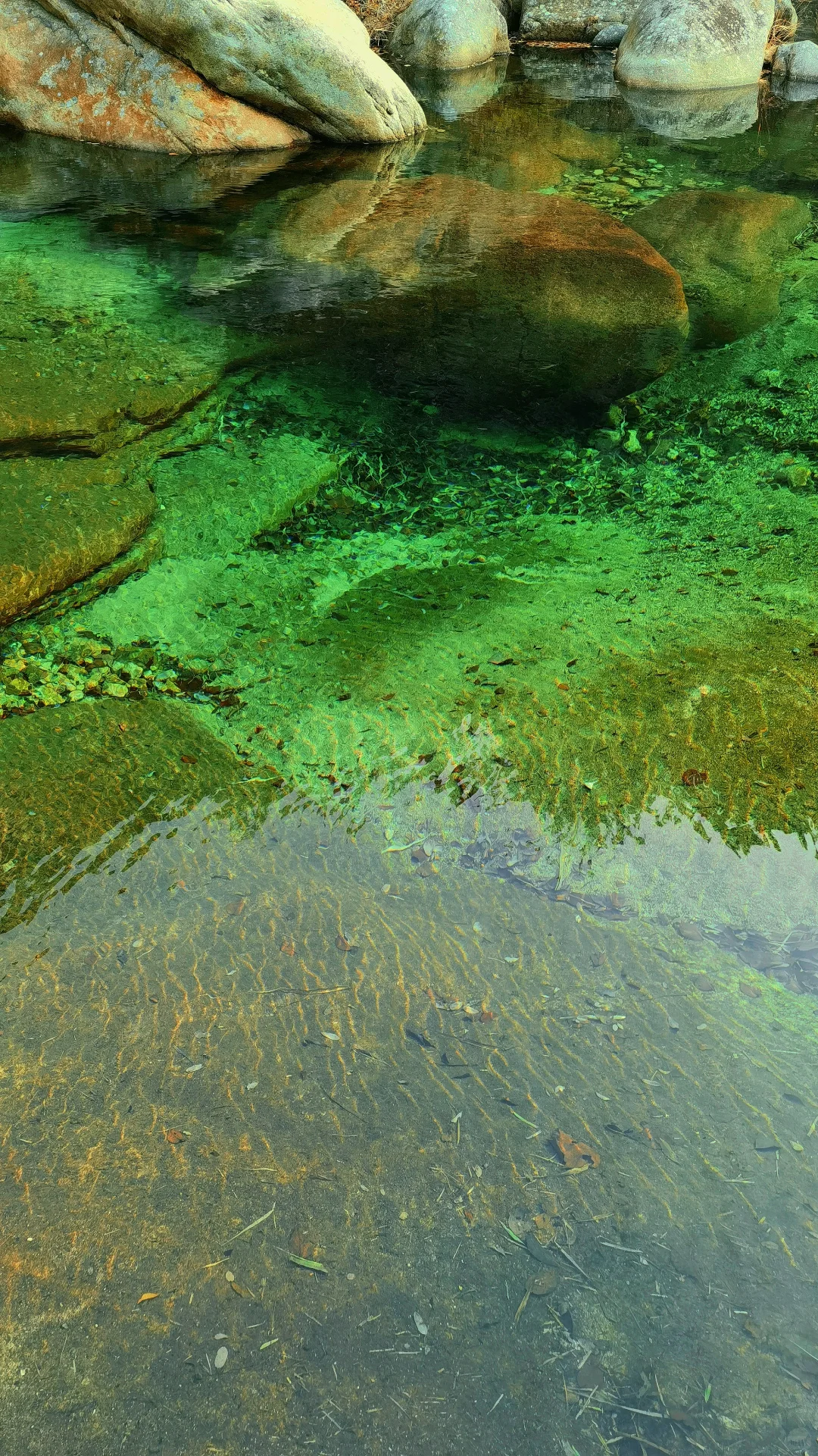 烟台的初冬🍁是大自然打翻的调色盘