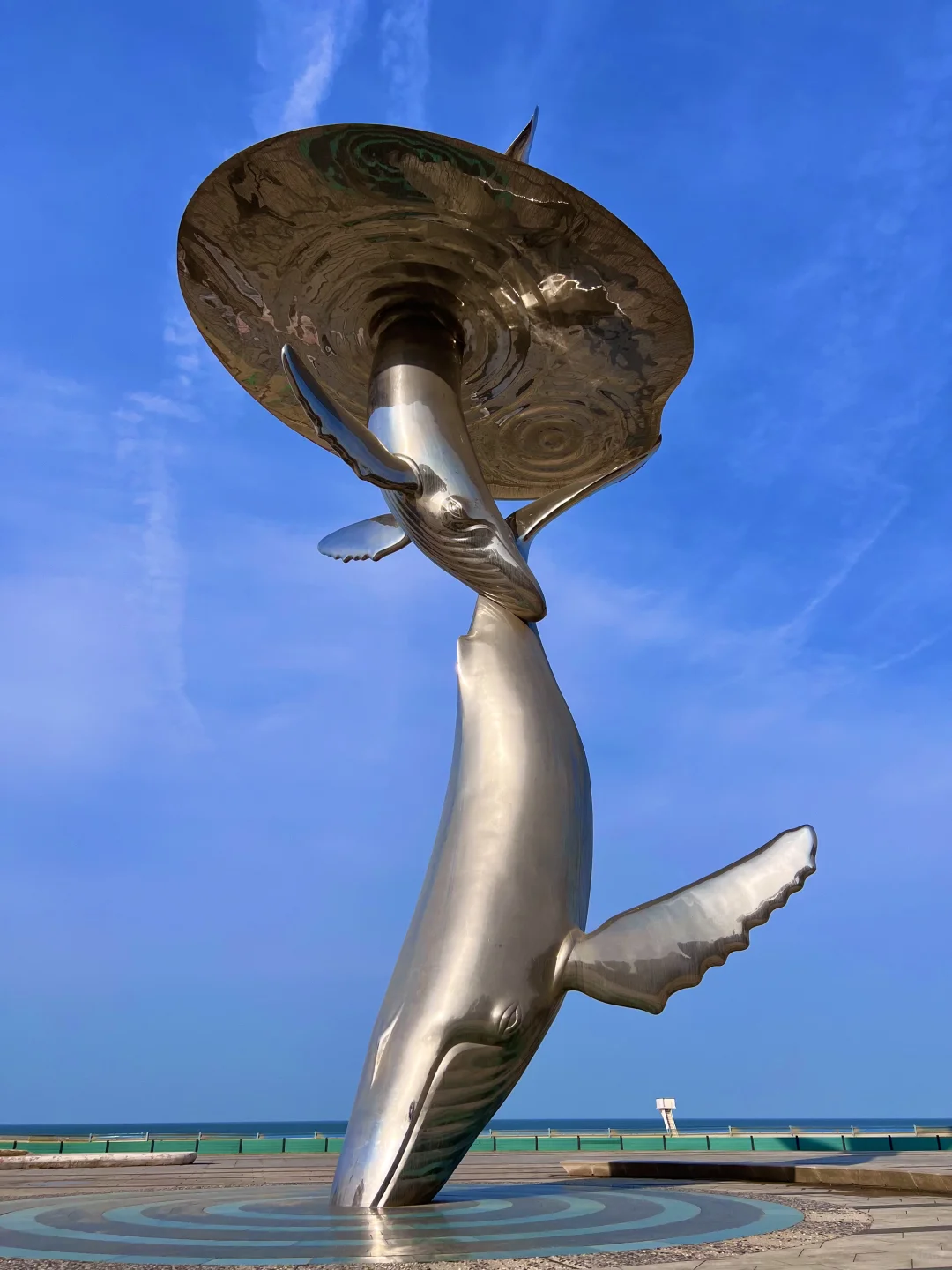 烟台11.17-11.24天气预报☀️及潮汐时间🌊